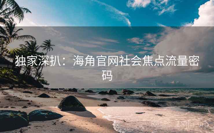 独家深扒：海角官网社会焦点流量密码