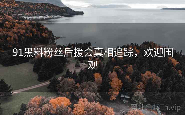 91黑料粉丝后援会真相追踪，欢迎围观
